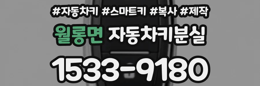 월롱면 자동차키분실