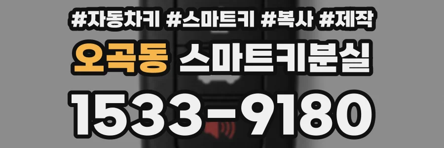 오곡동 스마트키분실