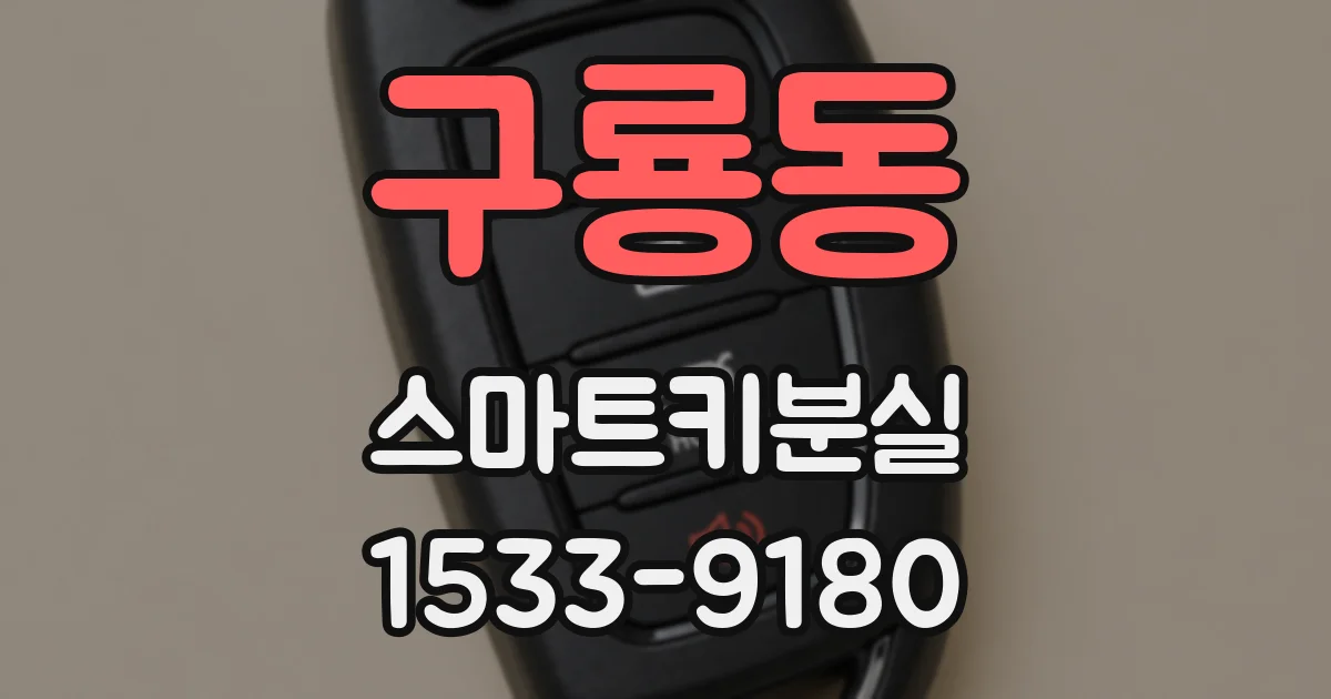 구룡동 스마트키분실