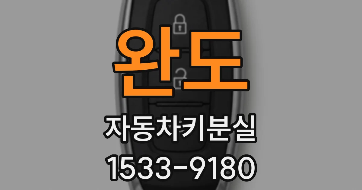 완도 자동차키분실