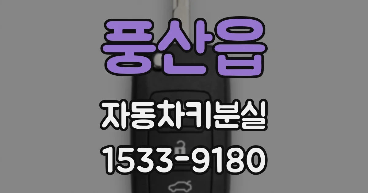 풍산읍 자동차키분실