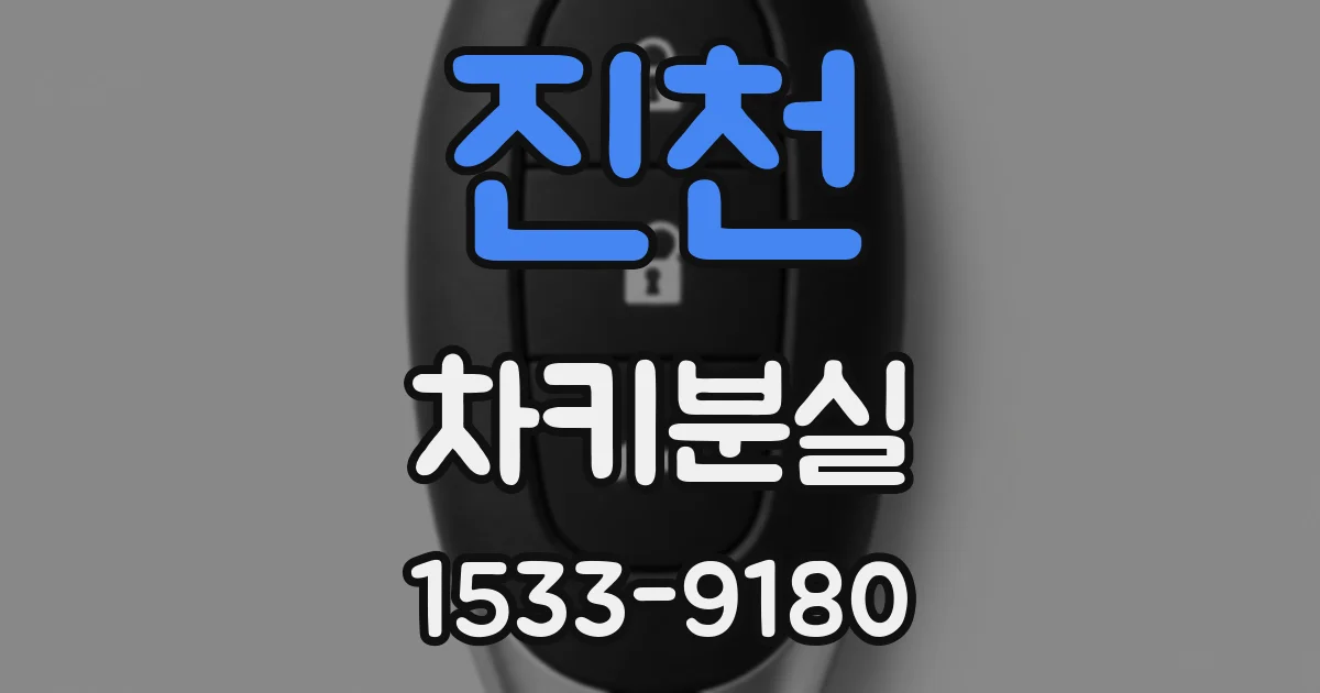 진천 차키분실