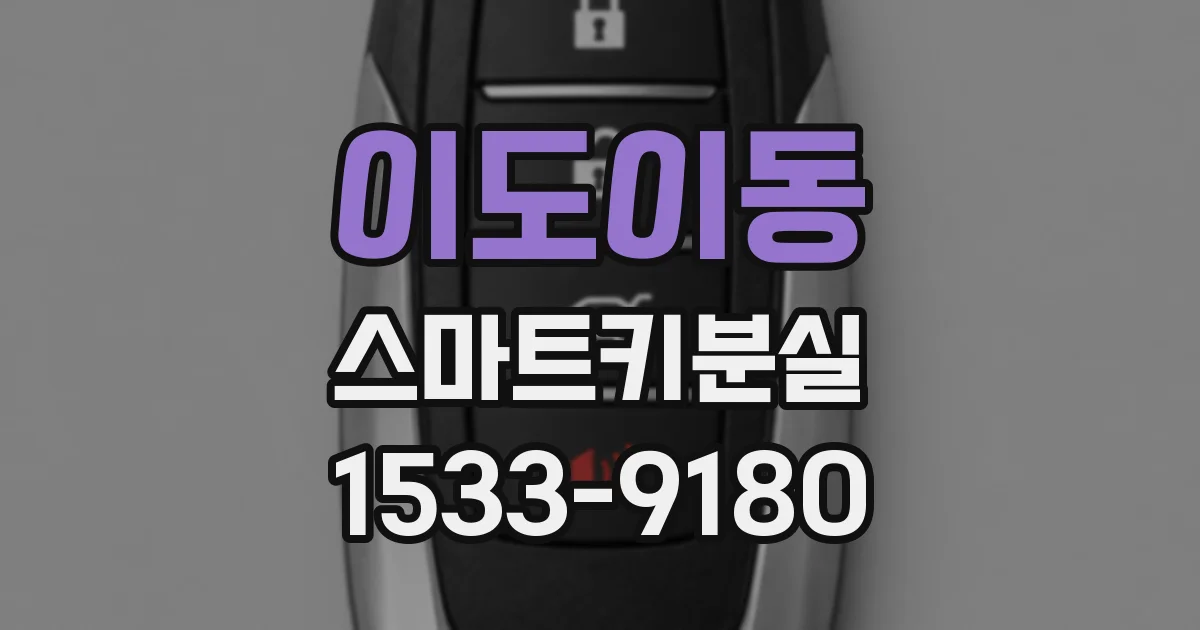 이도이동 스마트키분실