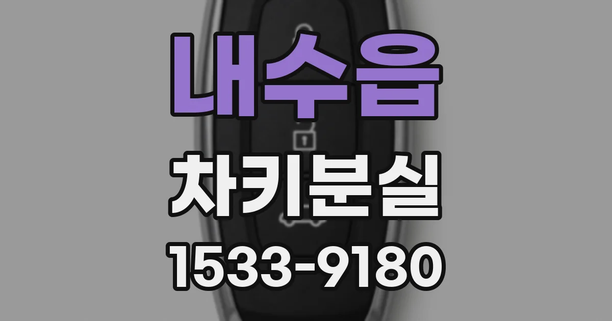 내수읍 차키분실