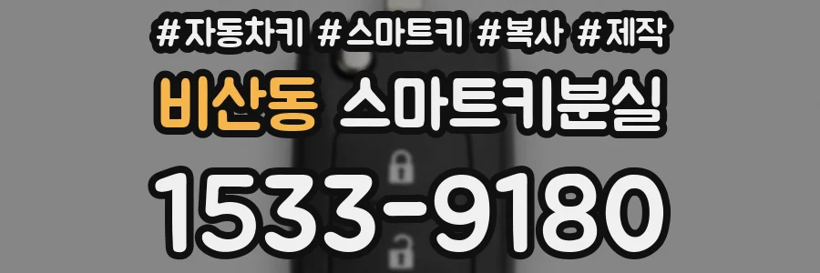 비산동 스마트키분실