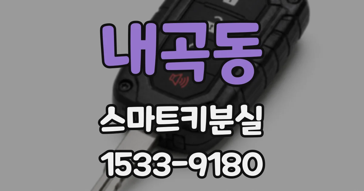 내곡동 스마트키분실