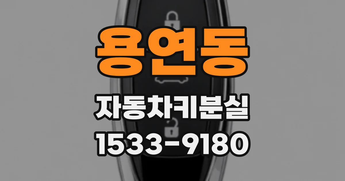 용연동 자동차키분실