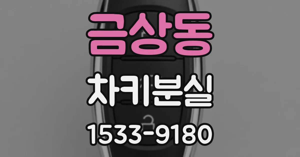 금상동 차키분실
