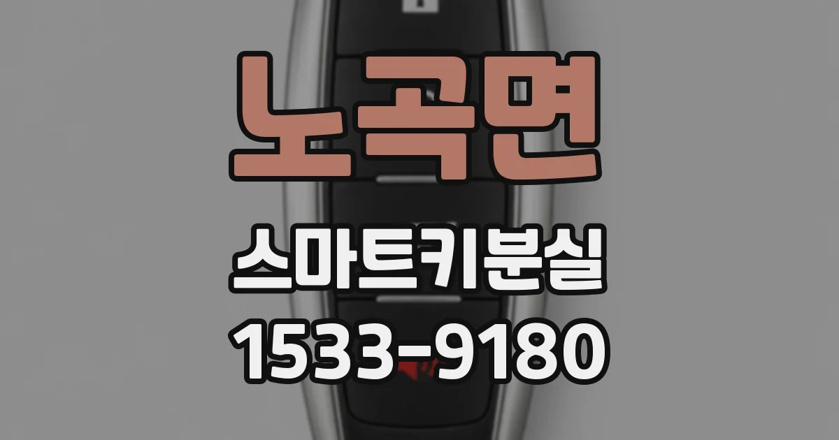 노곡면 스마트키분실