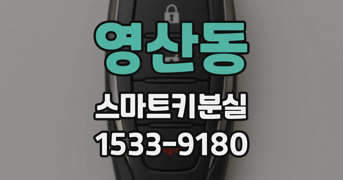 영산동 스마트키분실