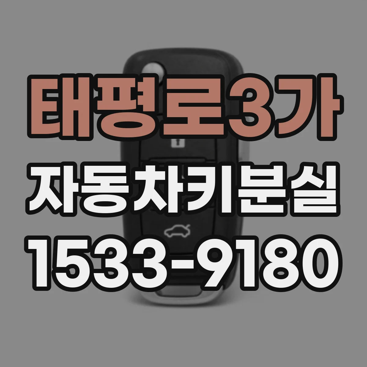 태평로3가 자동차키분실