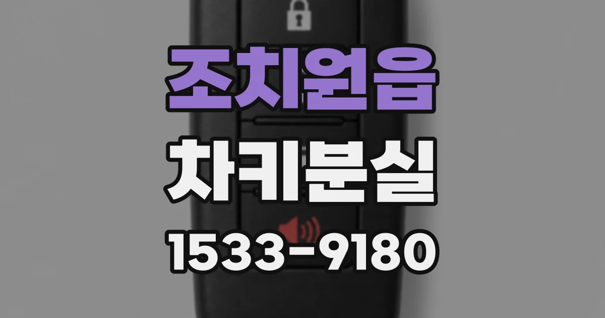 조치원읍 차키분실