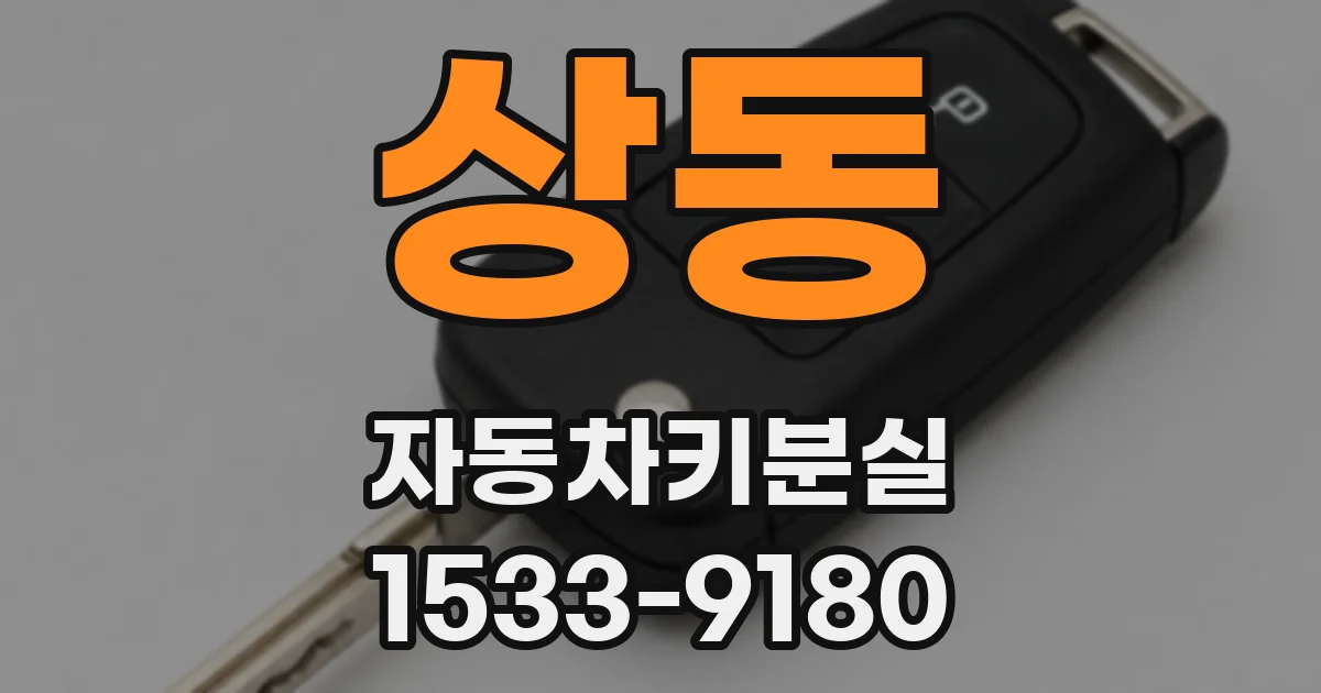 상동 자동차키분실