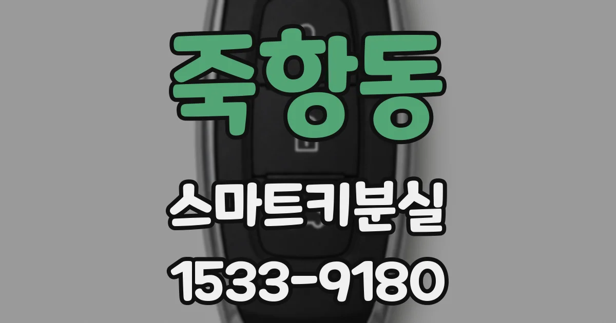죽항동 스마트키분실