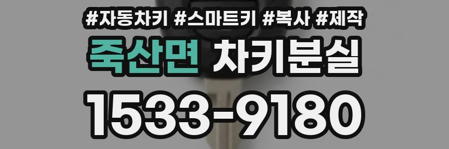 죽산면 차키분실