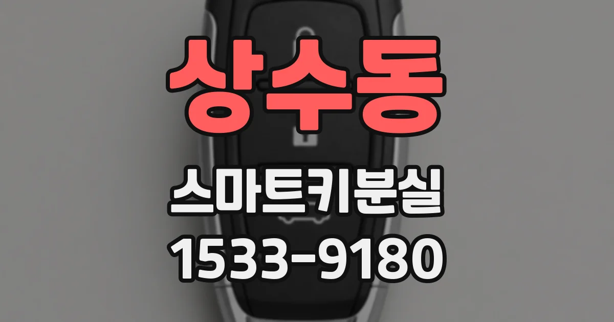 상수동 스마트키분실