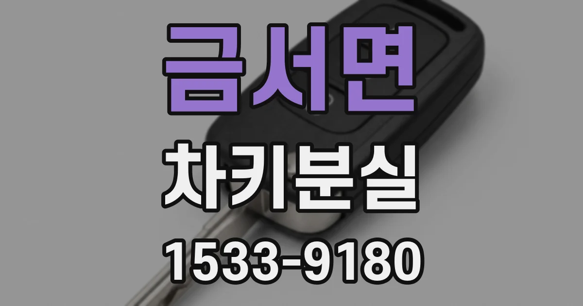 금서면 차키분실