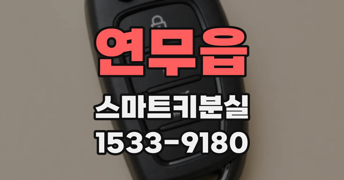 연무읍 스마트키분실