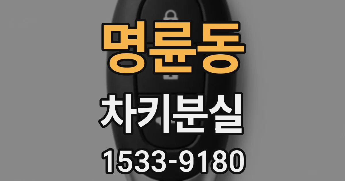 명륜동 차키분실
