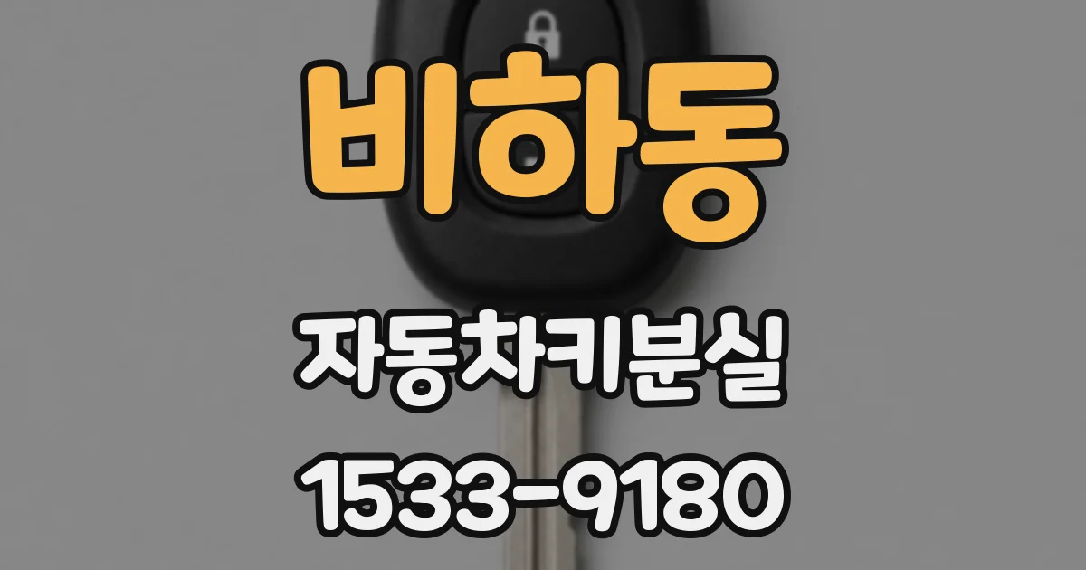 비하동 자동차키분실