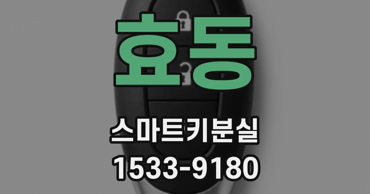 효동 스마트키분실