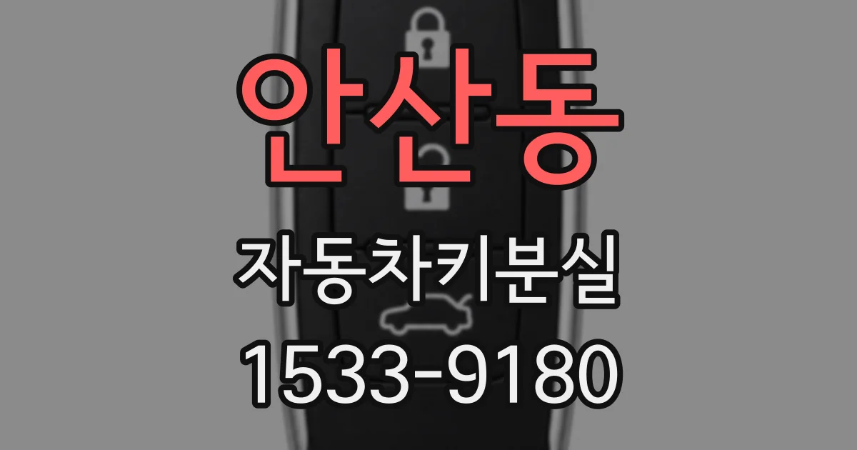 안산동 자동차키분실