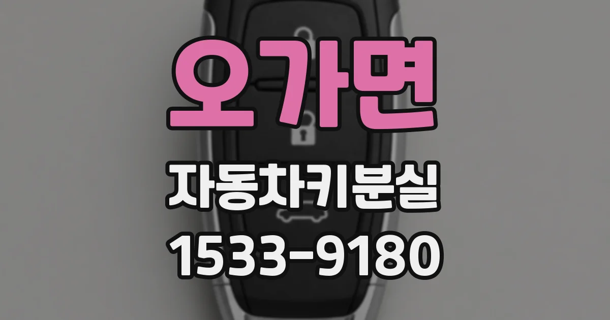 오가면 자동차키분실