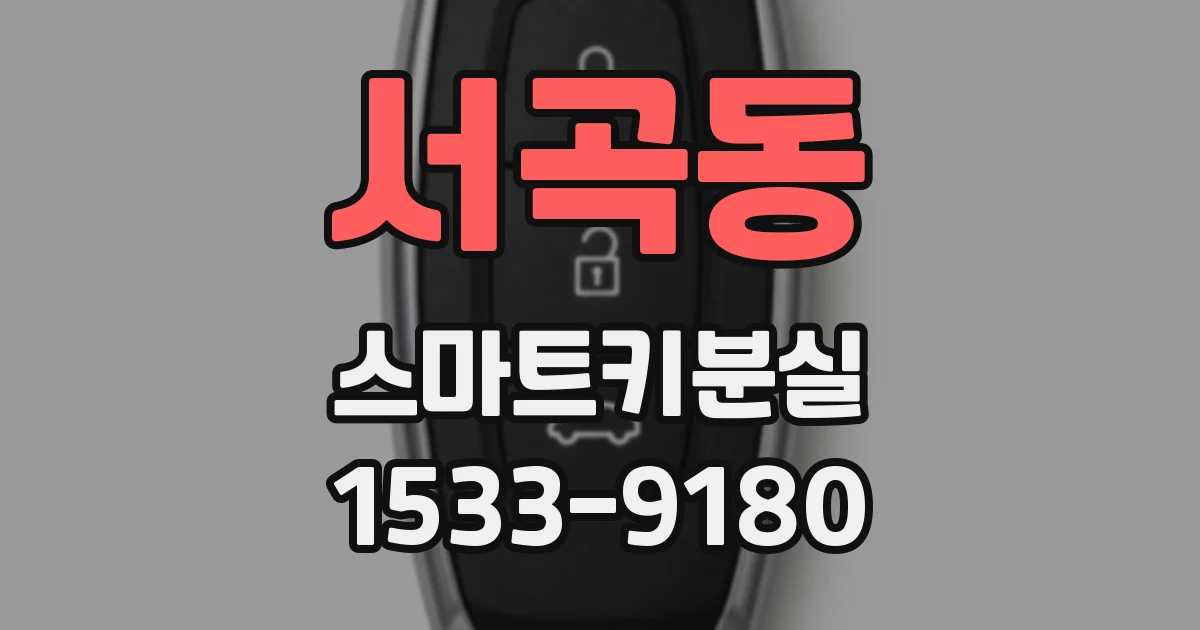 서곡동 스마트키분실