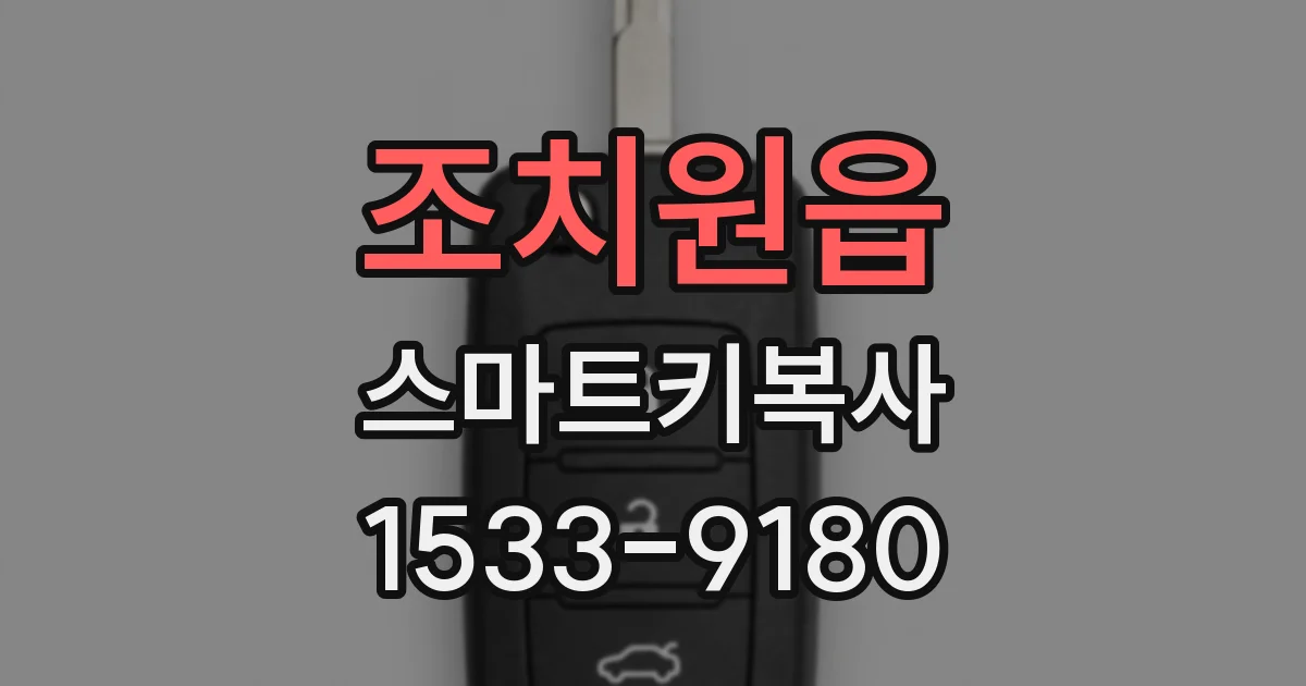 조치원읍 스마트키복사