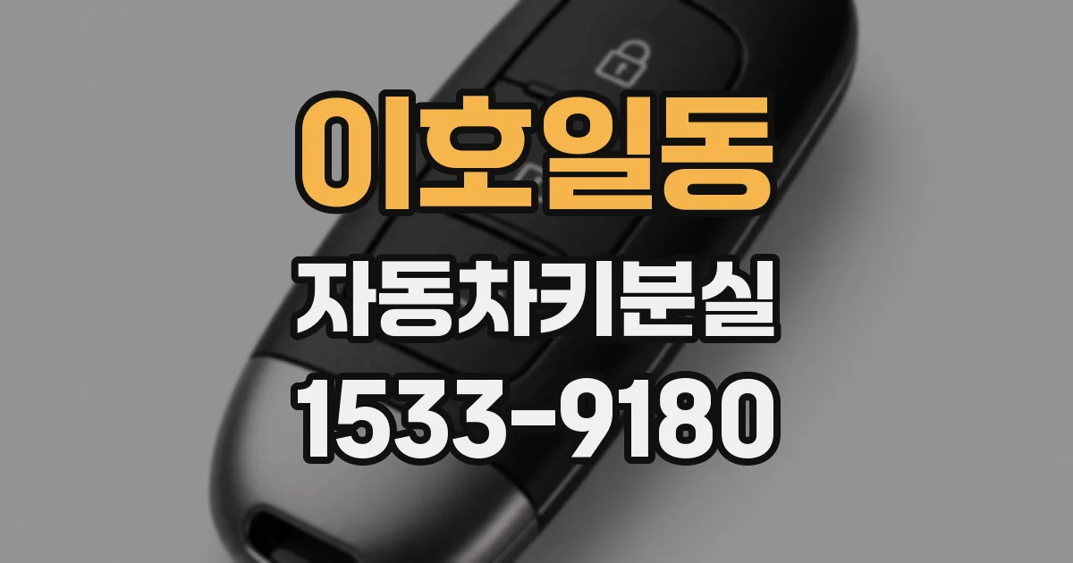 이호일동 자동차키분실
