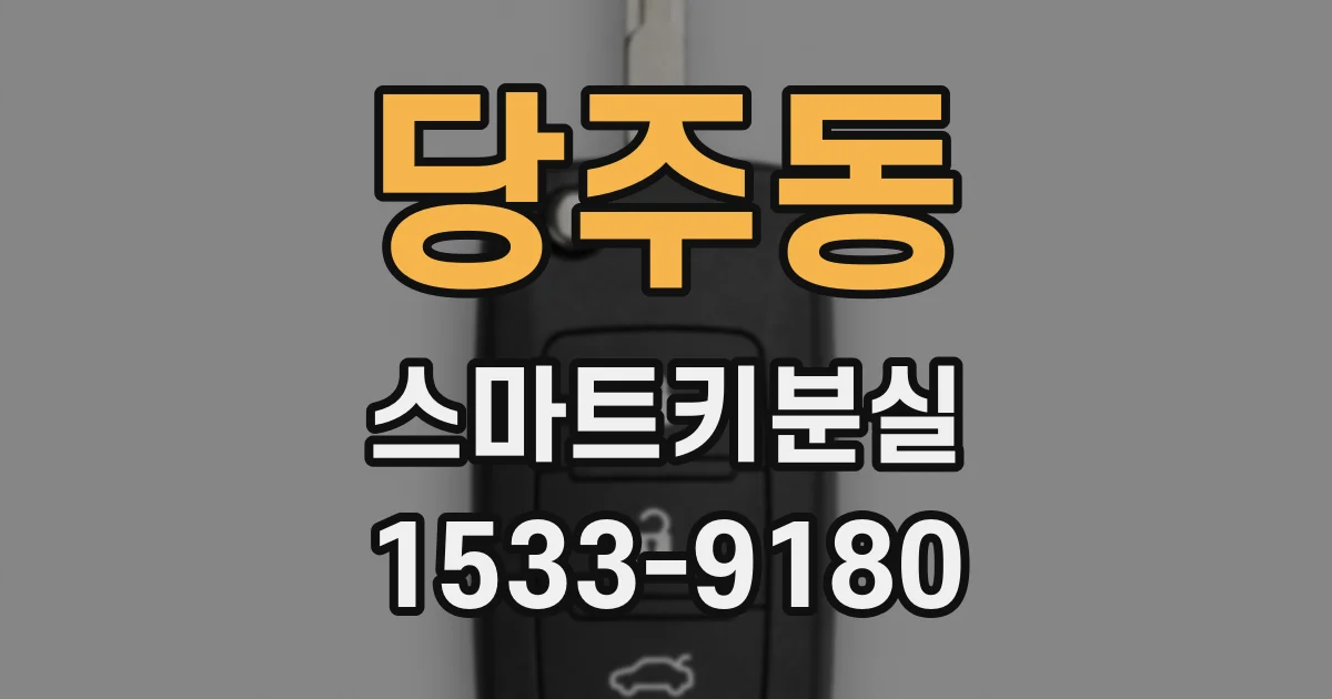 당주동 스마트키분실