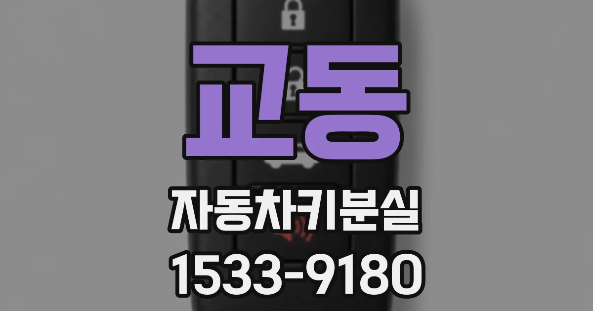 교동 자동차키분실