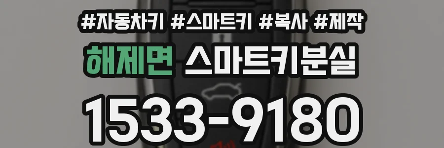 해제면 스마트키분실