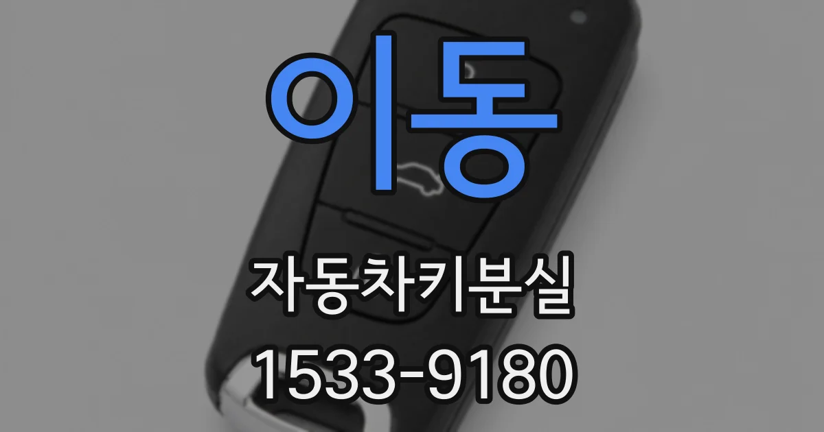 이동 자동차키분실