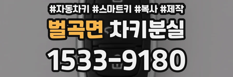 벌곡면 차키분실