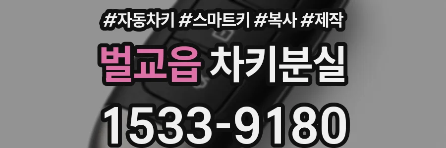 벌교읍 차키분실