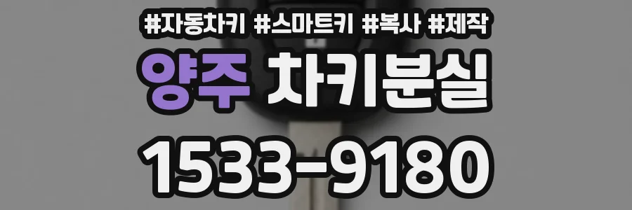 양주 차키분실