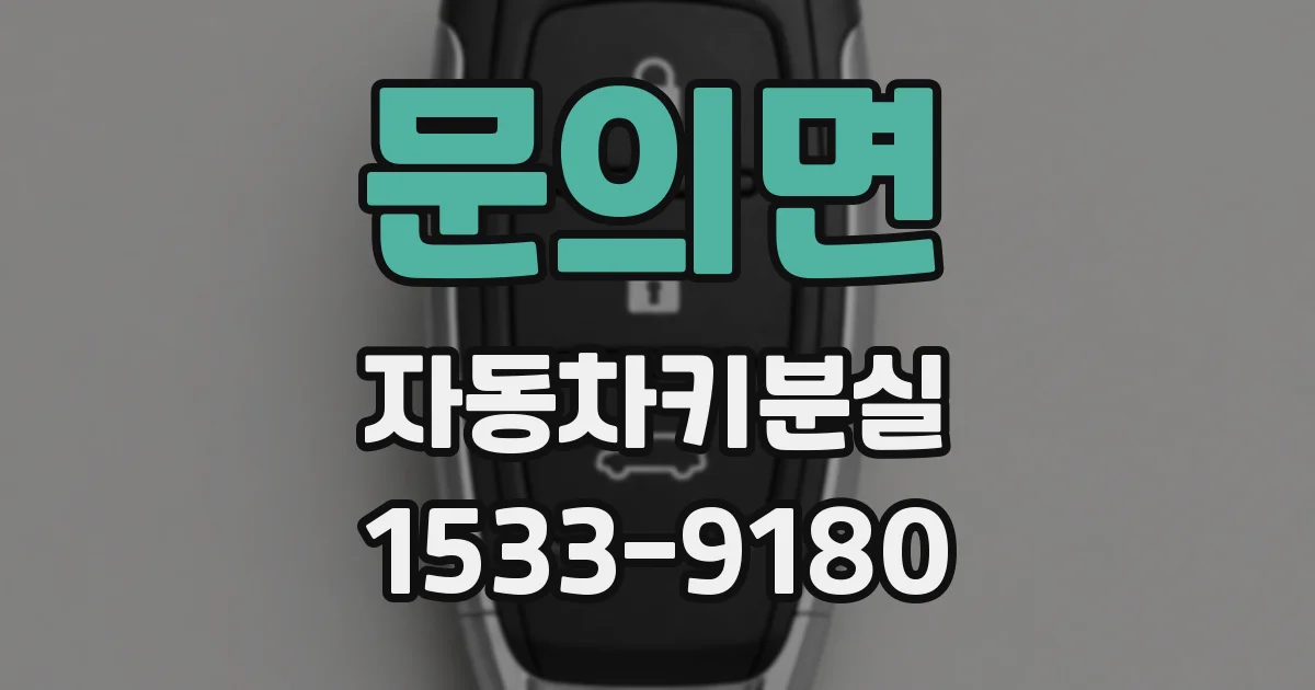 문의면 자동차키분실