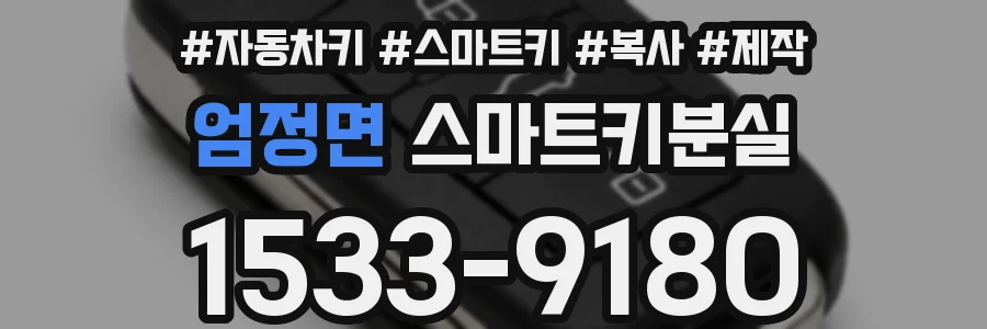 엄정면 스마트키분실