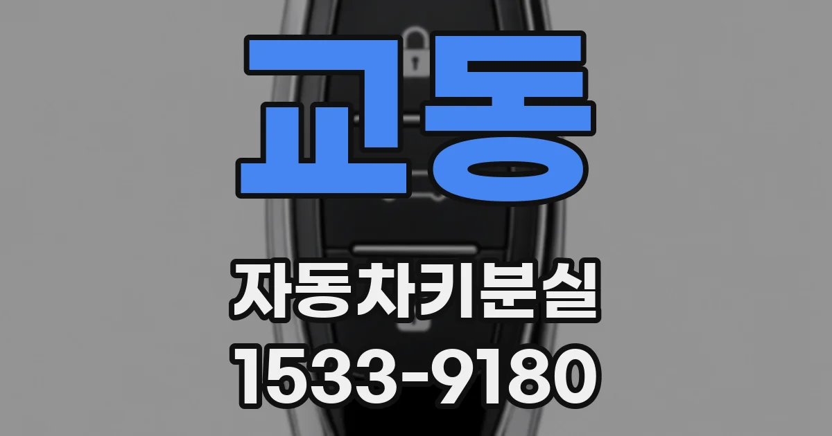 교동 자동차키분실