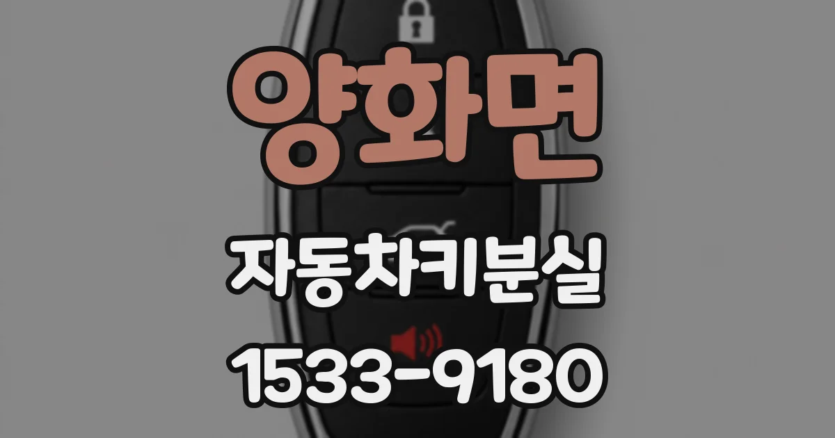 양화면 자동차키분실