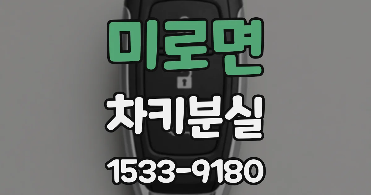 미로면 차키분실