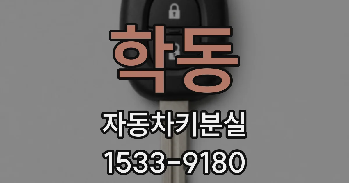 학동 자동차키분실