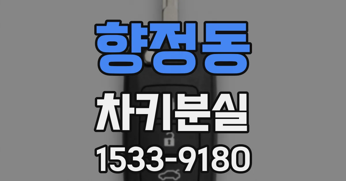 향정동 차키분실