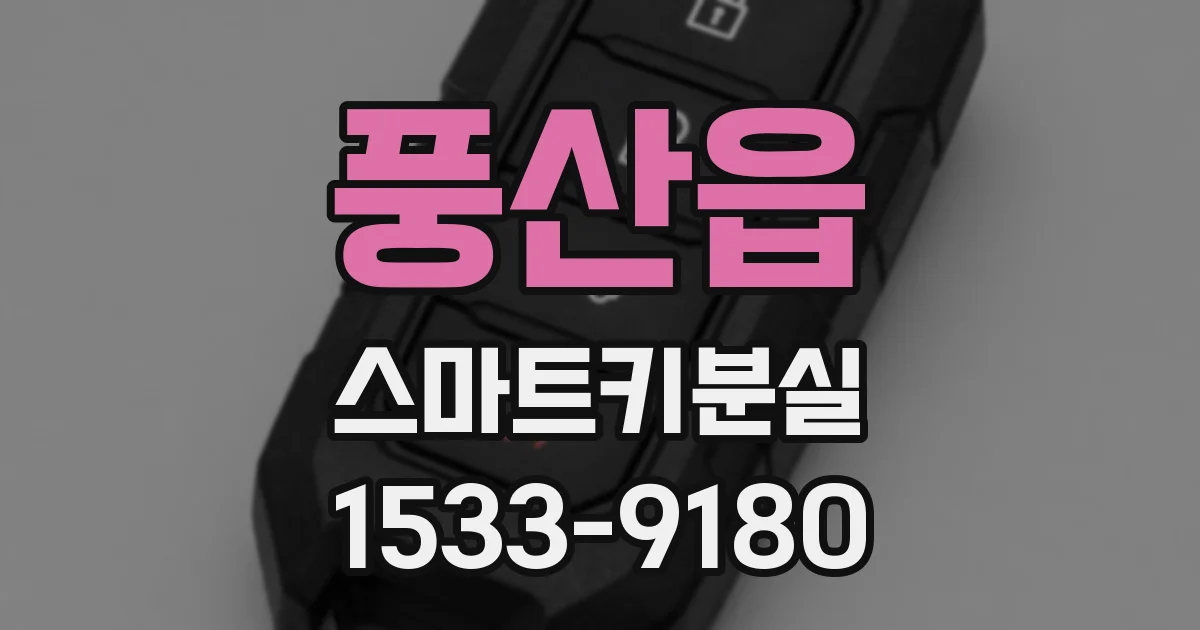 풍산읍 스마트키분실