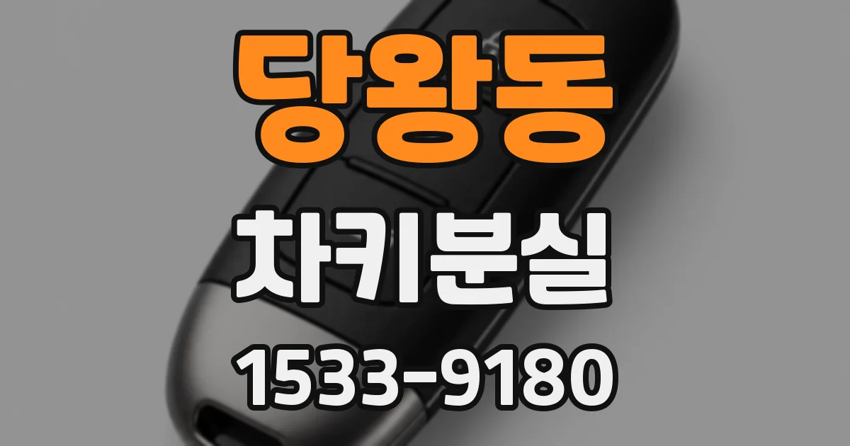 당왕동 차키분실