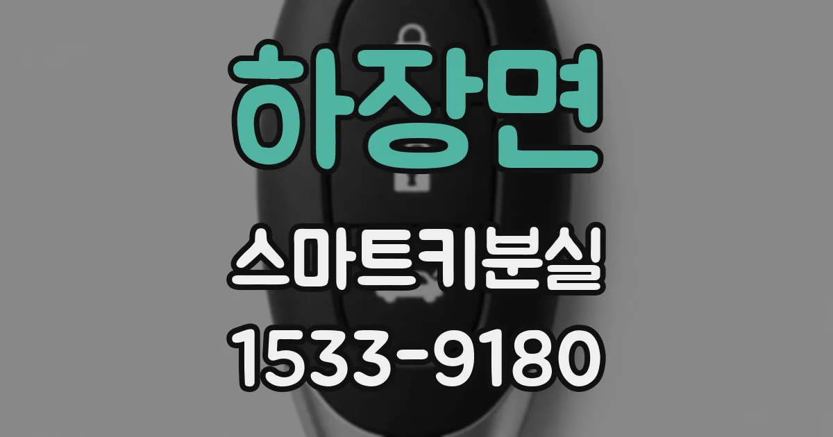 하장면 스마트키분실