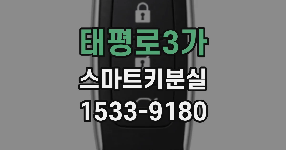 태평로3가 스마트키분실