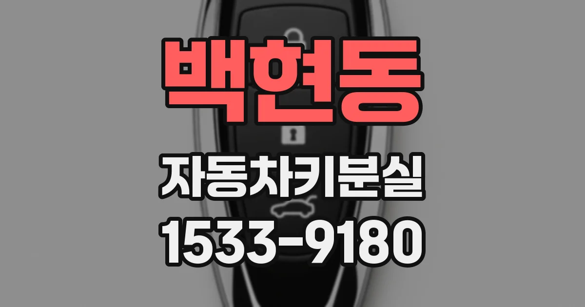백현동 자동차키분실