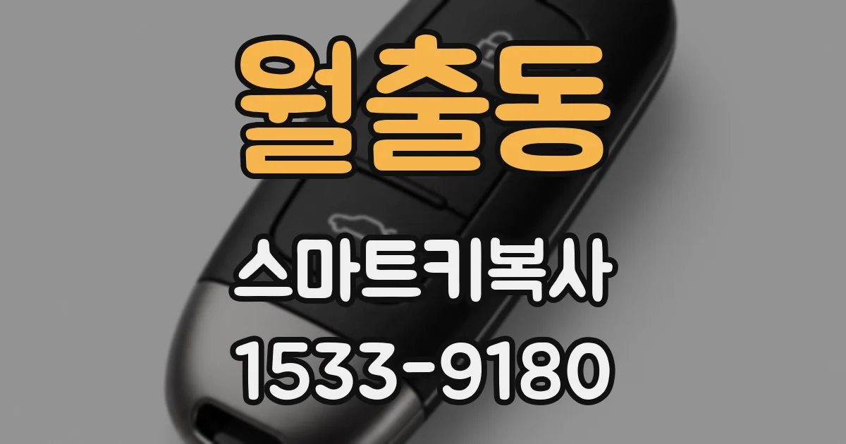 월출동 스마트키복사